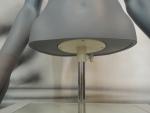 Woman Grey PVC Bust headed - photo 6