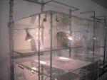 CRYSTAL DISPLAY CABINET WITH UPRIGHT - photo 1