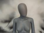 Woman Grey PVC Bust headed - photo 4